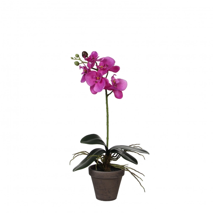 <h4>Kunstplanten Pot Phalaenopsis d11/13*48cm</h4>