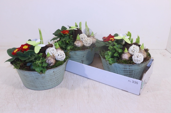 <h4>ARR TUINPLANTEN</h4>