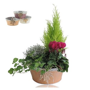 Collectie Autumn Leaf Arrangement in Zinken Schaal 21 cm