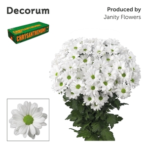 Chr T Kennedy Decorum