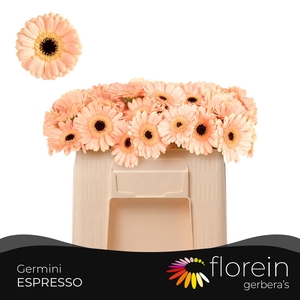 GE MI ESPRESSO