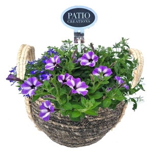 Arr.   Perkplanten L%