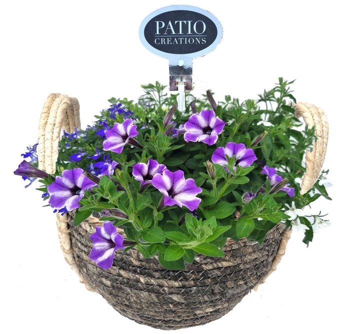 Arr.   Perkplanten L%