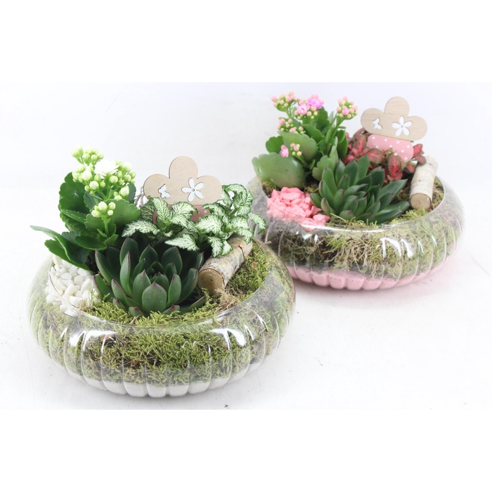 <h4>Arr2 Mb - Glas Ribbel Schaal Laag - Roze/wit</h4>