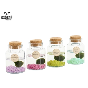 90938: Marimo arrangement