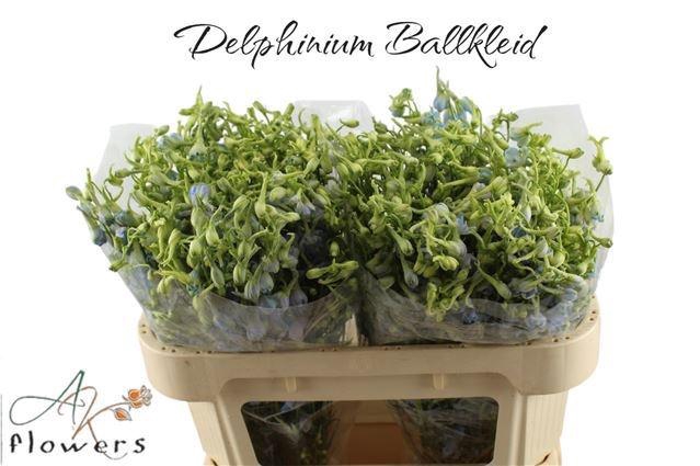 <h4>DELPH EN BALLKLEID</h4>