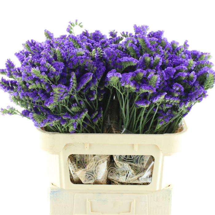 <h4>Lim S Cryst Dark Blu</h4>