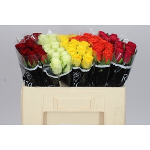 Rosa Gr Gemengd In Fust