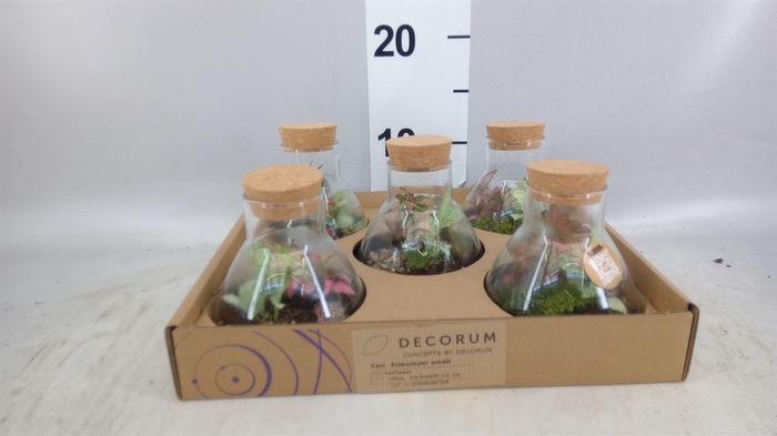 <h4>Arr.   Kamerplant Groen H%</h4>