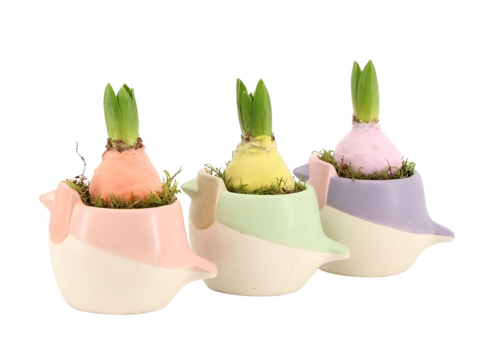 <h4>11650: Outdoor spring arrangement</h4>