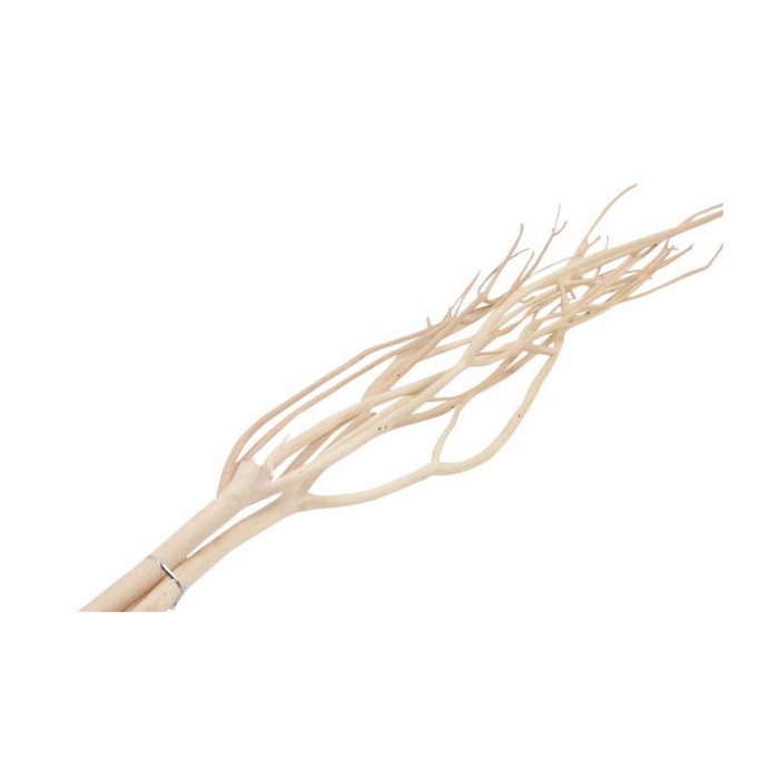 <h4>Bundle Mitsumata 3 Pcs L115</h4>