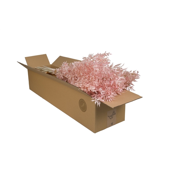 <h4>Droogbloemen-Ruscus Pink Pastel</h4>