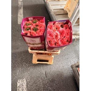 R GR MANDARIN XPRESS