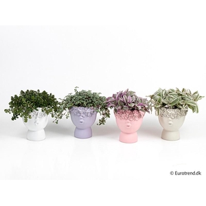 E 3916  bl krans valentin 10.5