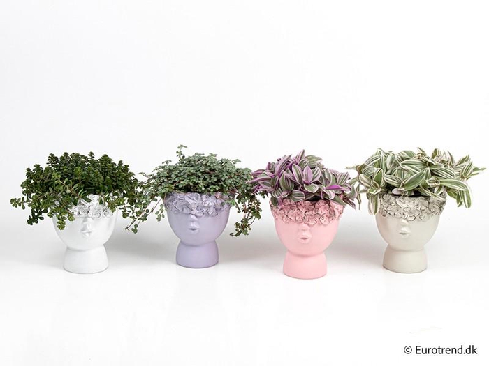 <h4>E 3916  bl krans valentin 10.5</h4>