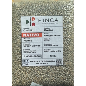 Green Coffee Nativo Castillo Honey - Bags x12 Kg