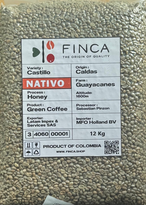 <h4>Green Coffee Nativo Castillo Honey - Bags x12 Kg</h4>