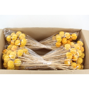 Stick Pumpkin 5/6cm Yellow