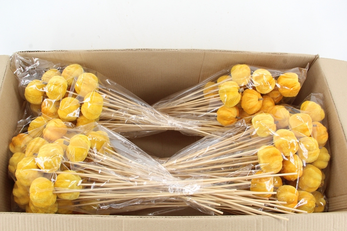 <h4>Stick Pumpkin 5/6cm Yellow</h4>