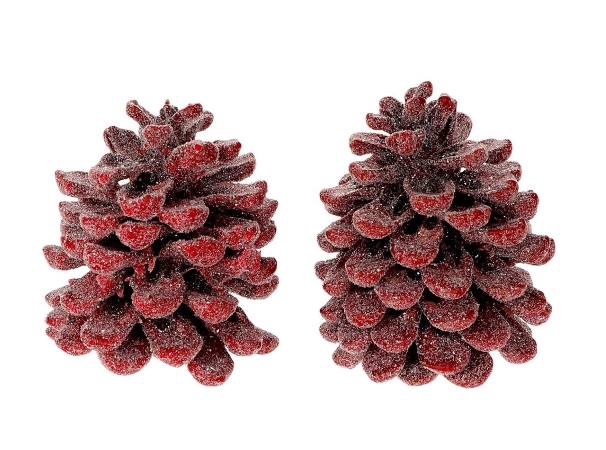 Pinecone Pinea Wax Sugared 2 Pcs Slv L19W12H14