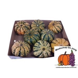 <h4>CUCURBITA</h4>
