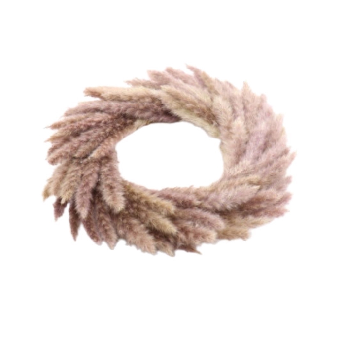 <h4>Wreath d35cm Pampas fluffy</h4>