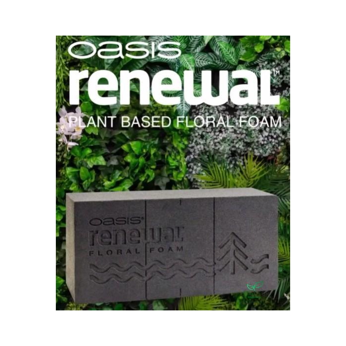 <h4>OASIS RENEWAL FLORAL FOAM 23X11X7,5CM 12PCS</h4>