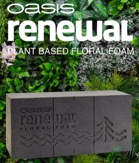 OASIS RENEWAL FLORAL FOAM 23X11X7,5CM 12PCS