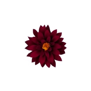 Dahlia red-01