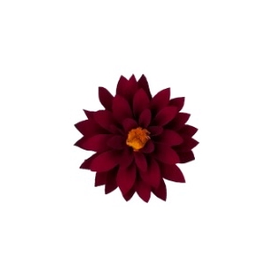 Dahlia red-01