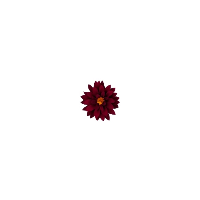 <h4>Dahlia red-01</h4>