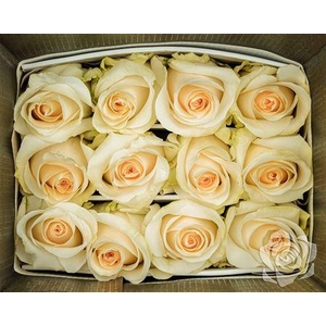 R Gr Creme De La Creme