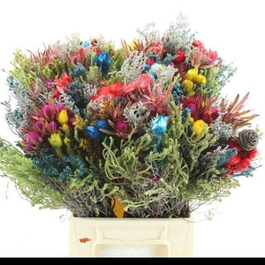 ALLERHEILIGENBOEK BS