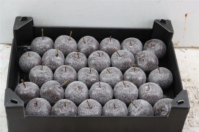 <h4>Waxappel Gl Choco</h4>