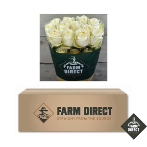 R GR CANDLELIGHT (BOX)