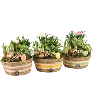 70892: Easter outdoor arrangement