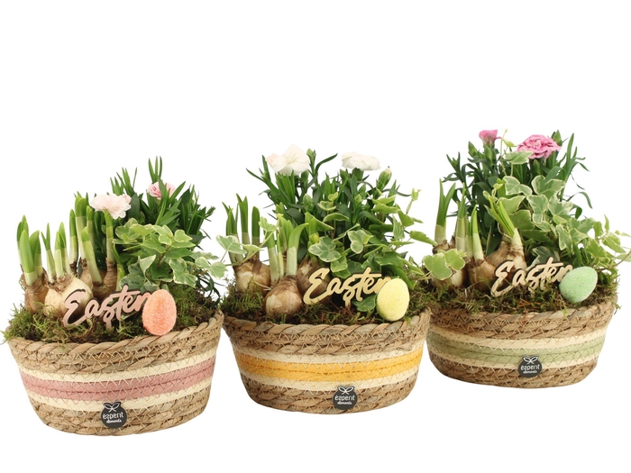 <h4>70892: Easter outdoor arrangement</h4>