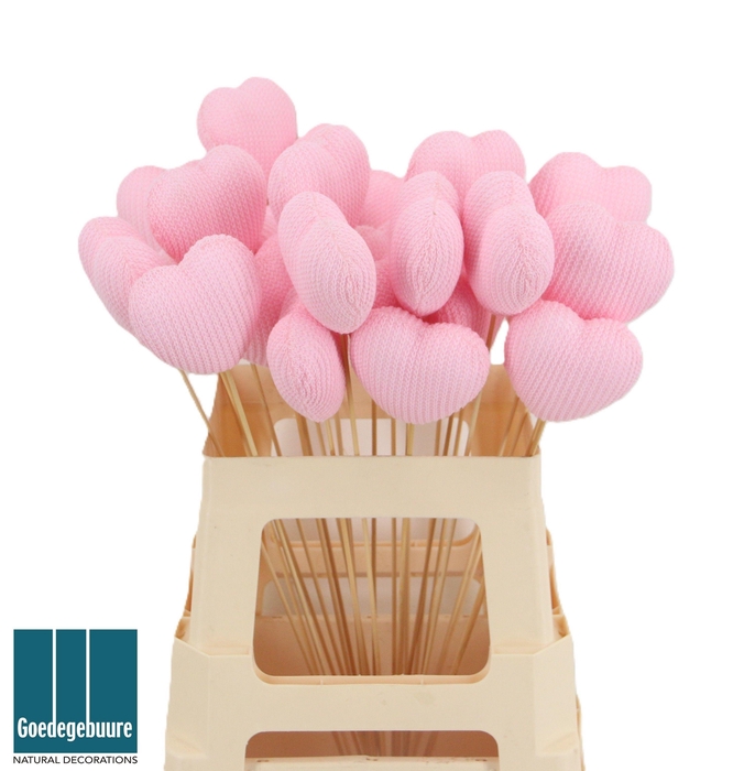 <h4>HARTJE OP STOK H%</h4>