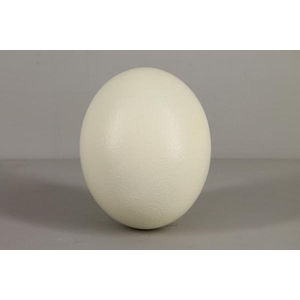 Egg Ostrich Natural