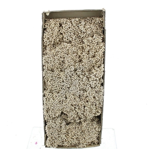 Dried Pepper Berries Champagne