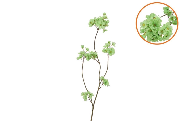 <h4>Silk Cherry Blossom Green 85cm Nm</h4>
