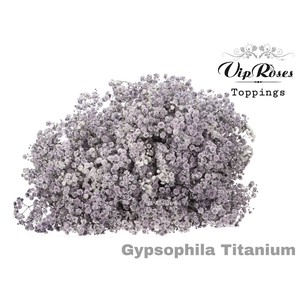 GYPS PA TITANIUM