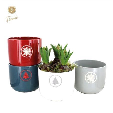 <h4>Hyacinth Mix 3847 Sierra 3pp</h4>