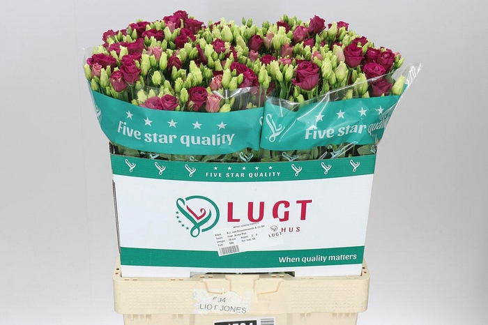 <h4>Eust Du Arosa Red</h4>