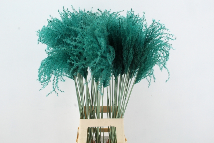 <h4>DF Miscanthus 90cm Aqua</h4>