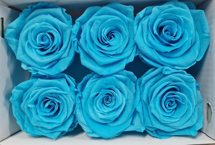 Ro Pres Classic Cyan