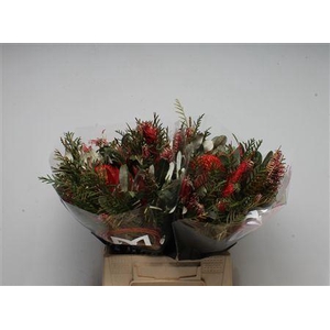 Bq Round Special