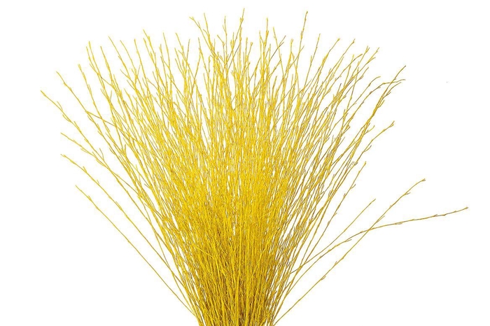 <h4>Berk 70cm Geel Pbs</h4>