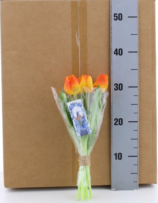 <h4>HUIS EN TUINDECO H%</h4>