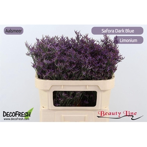 Lim Safora Dark Blue